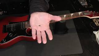 Ibanez RGM55 Mikro Guitar