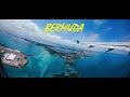 Let's tour Bermuda!!