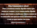 La Reflexión De Hoy 🔥 Deuteronomio 28:67