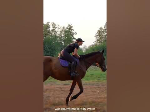 Why isn't the power of 1 horse equal to 1 horsepower? - YouTube