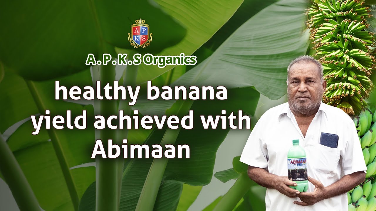 [ ENGLISH ] Dindigul Banana Farmer Mr.Kailasam Shares His Amazing Results!