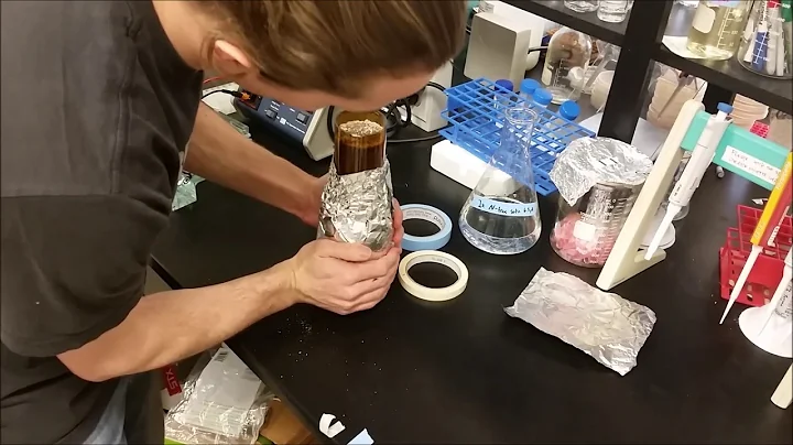 Leonard Jar Assembly