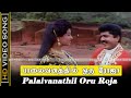 Palaivanathil oru roja song  kattabomman movie  sarath kumar vineetha love songs  deva song 