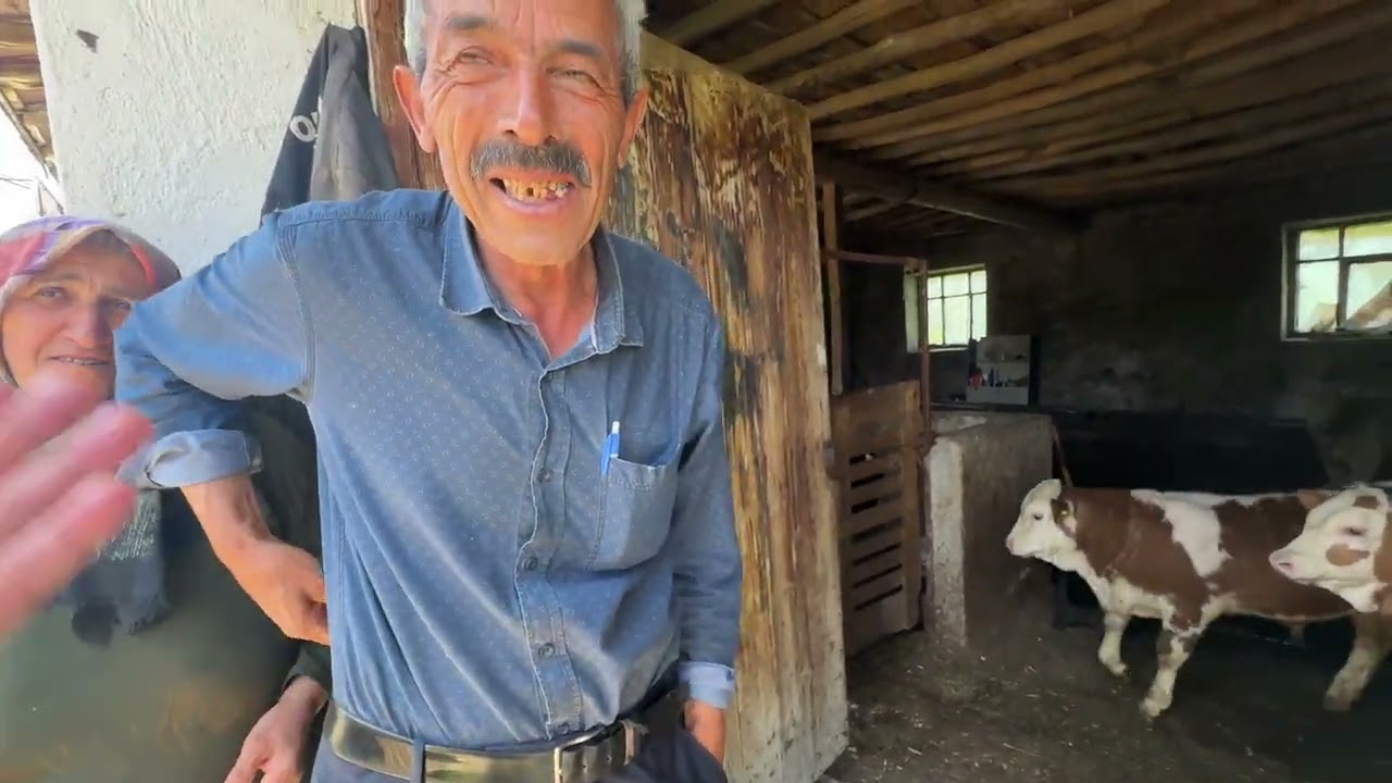 NEFES KESEN HAYVAN YÜKLEMESİ OLDU