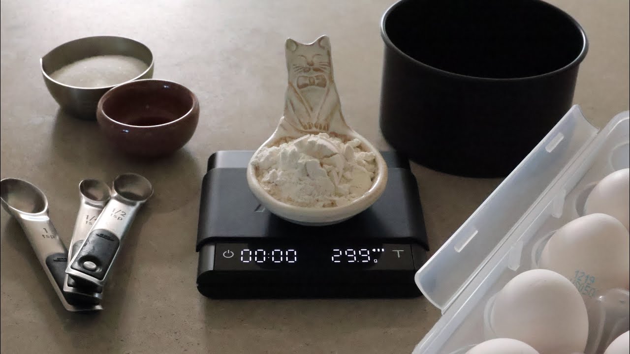 Vlog | 도시락과 함께하는 출퇴근🍱