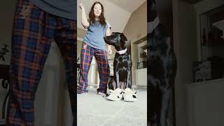 she wanted to join me #stolemyshoes #viral #tiktok #Geogiepuppy