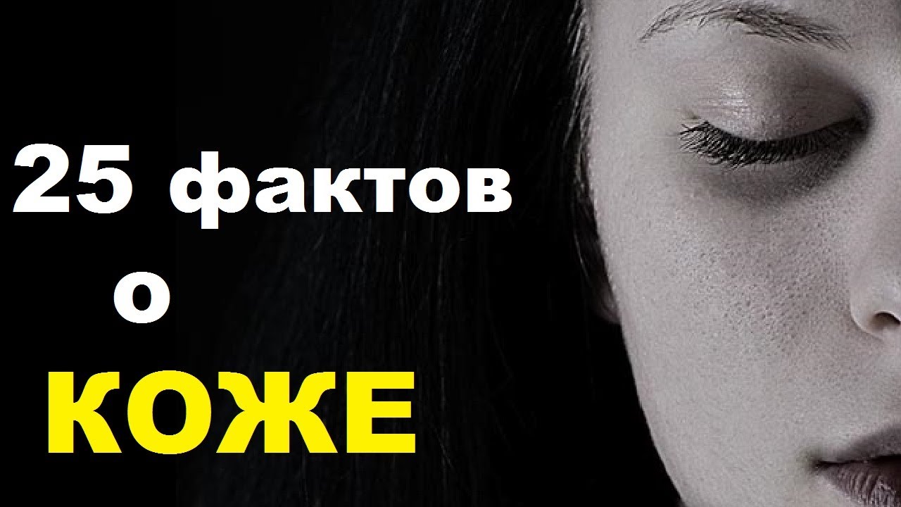 25 интересных фактов о коже человека. Много ещё не знали | TimonFix