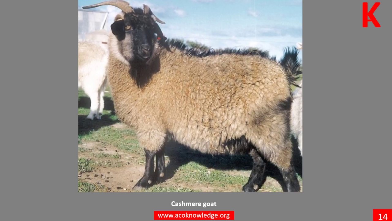 Demo: Module 2 - Natural fibres