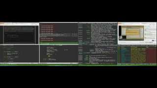 LD24 - Evolution - Convolution Timelapse