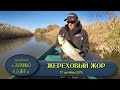 Рыбалка в Астрахани. Дельта Волги. Как поймать жереха.