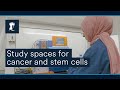 Study spaces  cancer and stem cells  university of nottingham