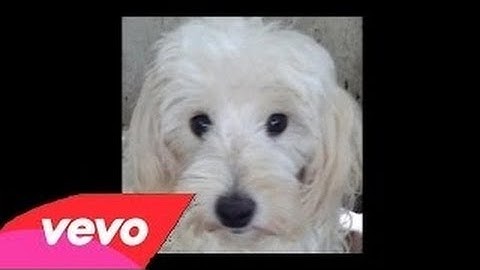 Paramore - Decode [OFFICIAL VIDEO]