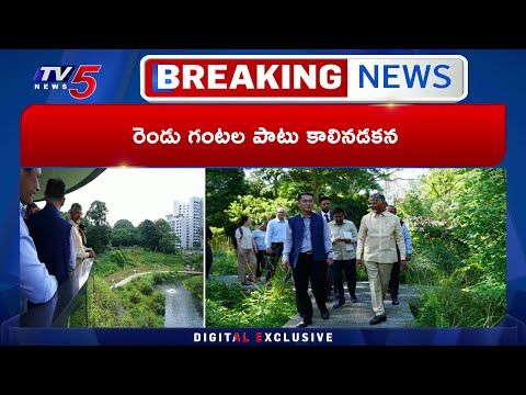 CM Chandrababu Naidu Explores singapore's City in Garden by Walk | TV5 News