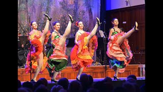 Die große Johann Strauss Gala - Eine Wiener Operetten Revue