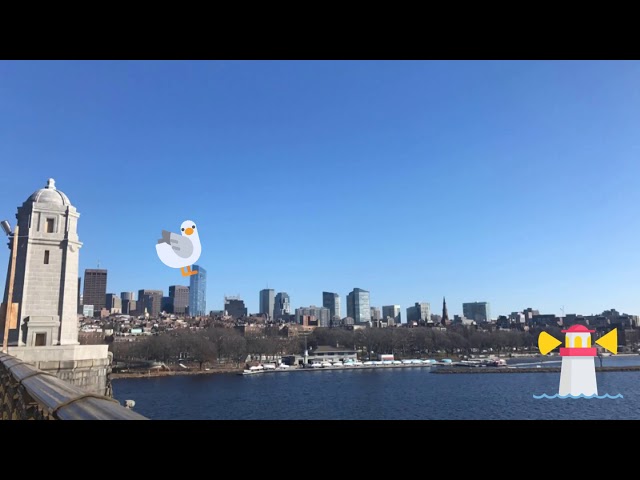 Demo: Write-on Video - Boston Travel