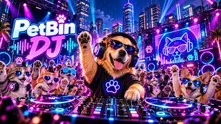 🐾 PetBin DJ – MR NINE MIXTAPE V.2 🔥 | Nonstop DJ Remix 2026 🎧 Neon Party Mix