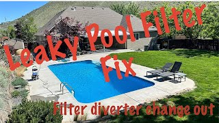 Pool filter leaking from backwash? replace the diverter and spring!