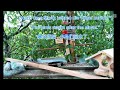 🇩🇪Die Terrasse vor und nach dem Sturm 🌪️🐦🇨🇳 暴风雨前后的露台 🌪️🐦🇬🇧The Terrace Before and After the Storm 🌪️🐦