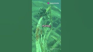 Why No Human Bones at Titanic Wreck?