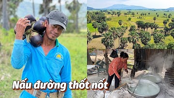 Nghề LEO CÂY THỐT NỐT và NẤU ĐƯỜNG THỐT NỐT thủ công của Người Khmer An Giang