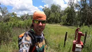 Hike to Concession Stand Campsite in The Green Swamp | The Florida Trail
