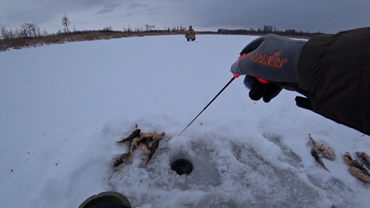 Рыбалка на блесну c ПОДСАДКОЙ ЛЕГКОГО. Зимняя рыбалка 2019.