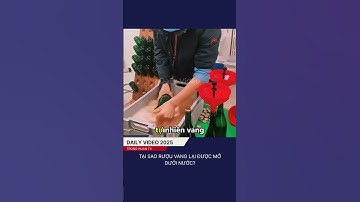 Tại sao rượu vang lại được mở dưới nước? #shorts