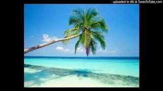 006_Al-Anaam ------- سورة الانعام للشيخ ياسر سلامة