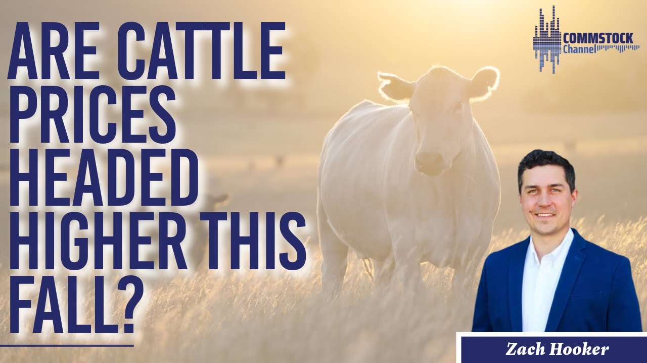 Are Cattle Prices Headed Higher This Fall? With Zach Hooker