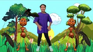 Insects (Rhythmic Movement - Animals and Habitat - Video 4)