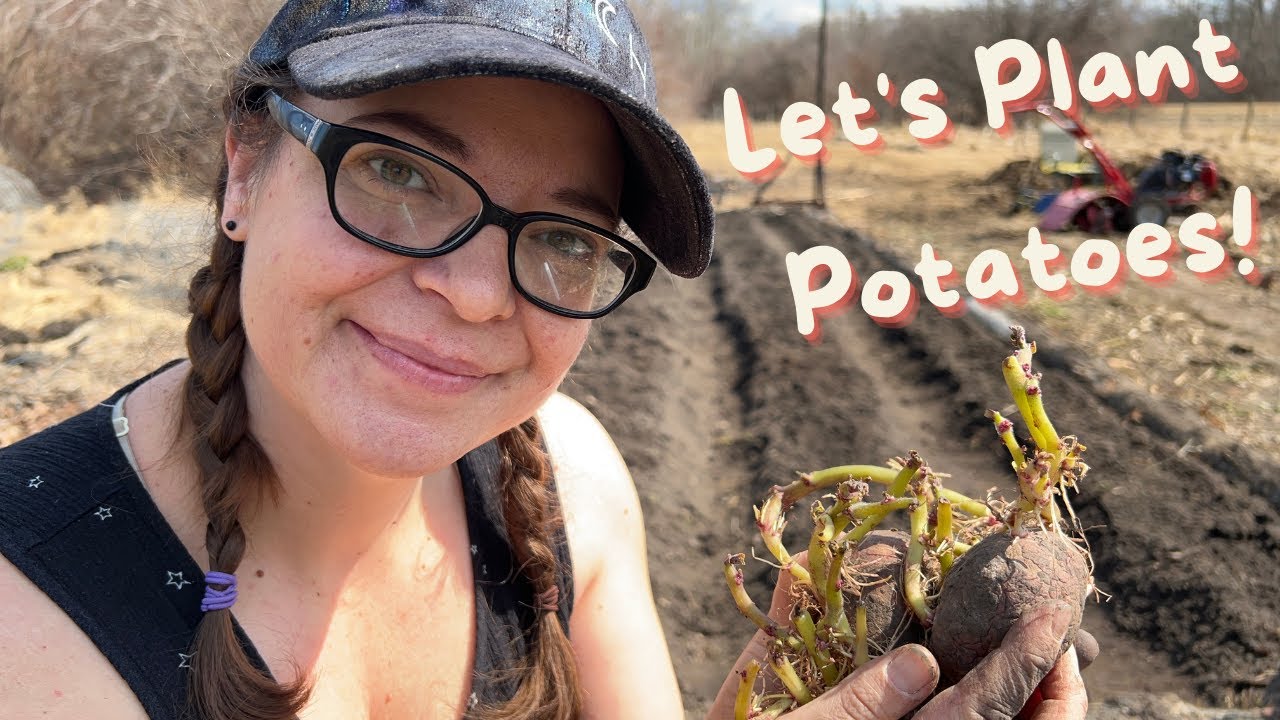 Intro to Planting Potatoes - Gardening for Beginners - YouTube