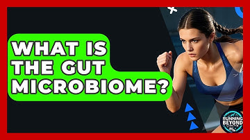 What Is The Gut Microbiome? - Running Beyond Limits