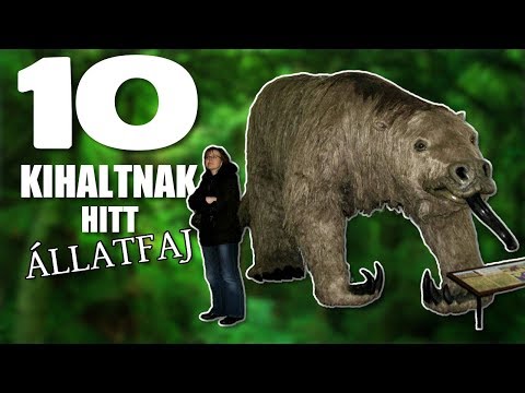 Videó: Hogyan h alt ki a tasmán tigris?