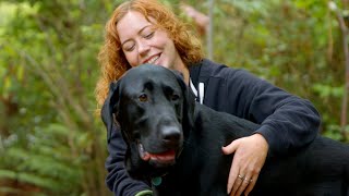 Dogs: The Ultimate Copilot​ | Microsoft Copilot