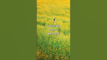 꽃밭에서 인생사진 촬영하는 법 2가지 #사진작가 #사진찍기 #사진꿀팁 #사진잘찍는법 #스마트폰사진 #스마트폰카메라 #스마트폰꿀팁 #갤럭시 #폰카 #아이폰