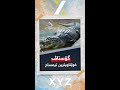تیمساحی گۆستاڤ خوێناویترین تیمساح لە جیهاندا تیمساحی گۆستاڤ خوێناویترین تیمساح لە جیهاندا