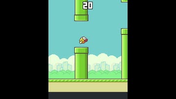 Day - 16 😌 Playing Flappy Birds For 100 Days Challenge💪 #flappybird #shorts  - Chikarrr🔥