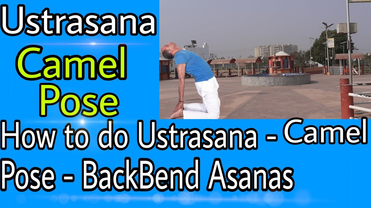 How To Do Ustrasana Camel Pose BackBend Asanas Ustrasana Ke Fayde