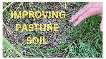 Improving Pastures with Biomass the Easy Way          #pasture