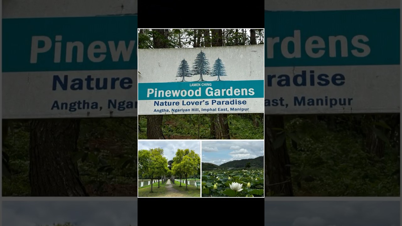 Pinewood Gardens 
