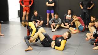 Island Top Team BJJ- 411 Seminar 2