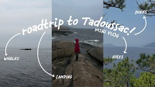Mini Road Trip To Tadoussac Whale Watching