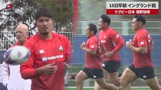 【速報】18日早朝、イングランド戦 ラグビー日本、姫野復帰