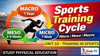 Micro, Meso &amp; Macro Cycle क्या है? | Sports Training Cycle Easy Explanation | 12 CBSE PE | StudyPE