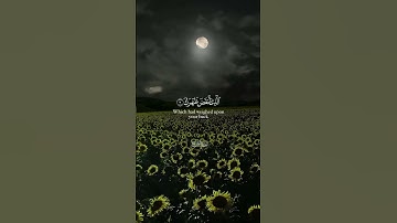 سورة الشرح  #الشيخ أحمد العجمي (ألم نشرح لك صدرك ووضعنا عنك وزرك)#قرآن_كريم #راحة_نفسية