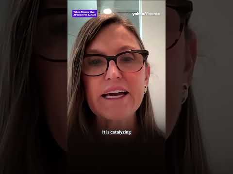 ARK Invest CEO