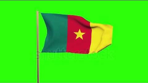 Cameroon flag waving in the wind. Green screen, alpha matte. Loopable animation Stock video by