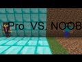 Minecraft Noob VS Pro