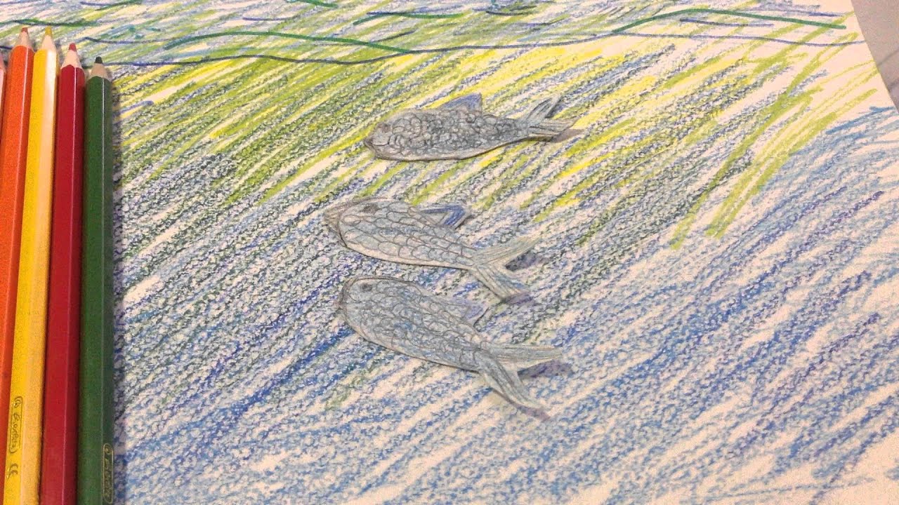 Мультфильм что такое студия Amal.Ok