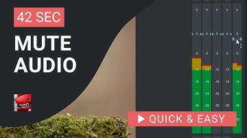 Lightworks Tutorial: How to Mute Audio in Lightworks